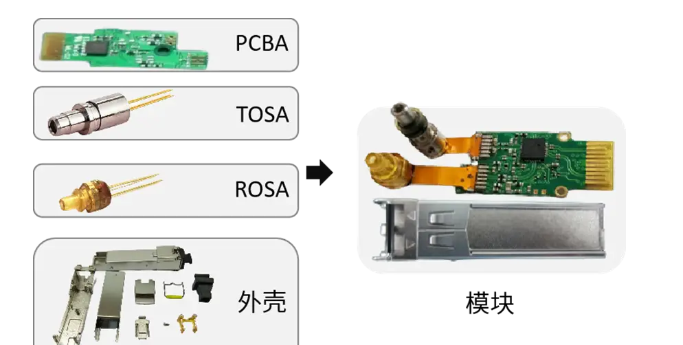 光？？？？？樽榧OSA/ROSA/BOSA详解